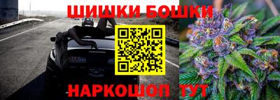 стафф Будённовск