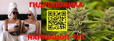 стафф Будённовск